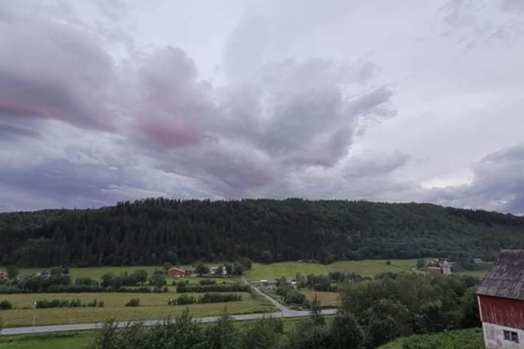 Skogan Apartman Leirfjord Kültér fotó