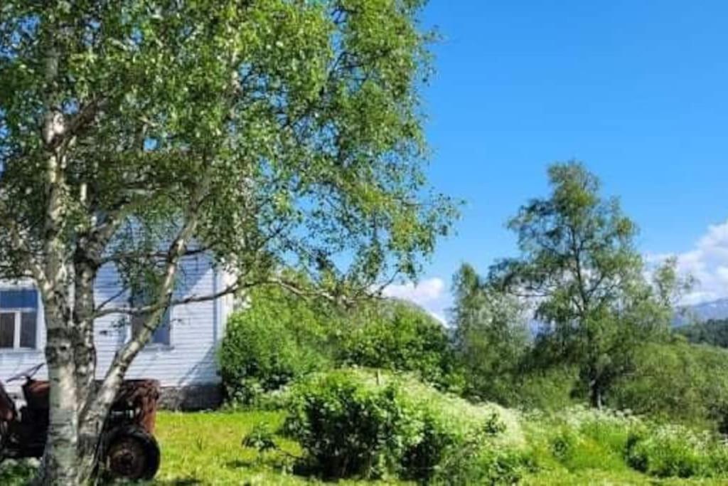Skogan Apartman Leirfjord Kültér fotó