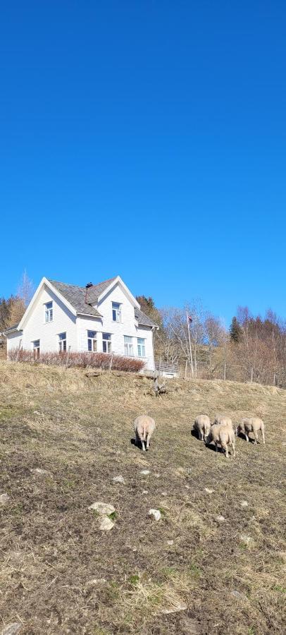 Skogan Apartman Leirfjord Kültér fotó